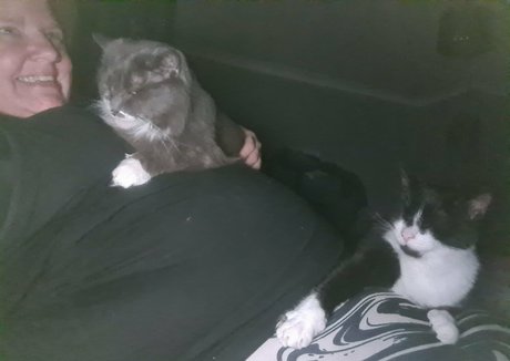 abigailbarrybbw porno nette bilder