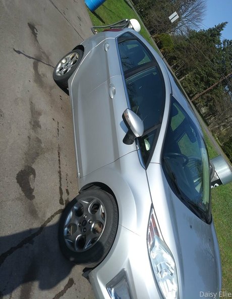 devilishdaisy heiße schöne galerien