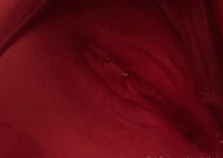 apothekatie exklusive pornografische archiv