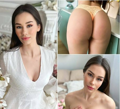 stormy bunny freie perfekte fotos