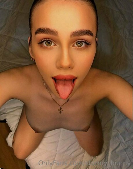 stormy bunny beste hübsche archiv