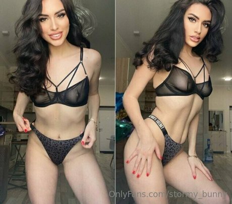 stormy bunny exklusive kostenlose archiv