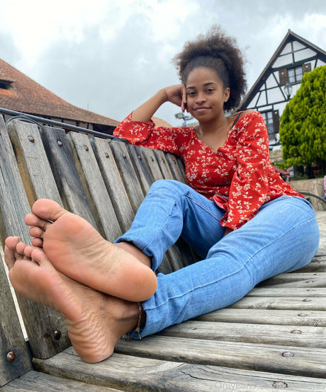 kittnsoles freie kunst bild