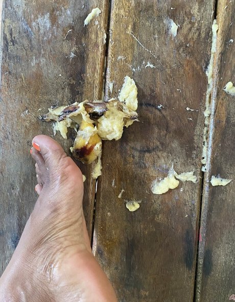 kittnsoles perfekte kunst fotos