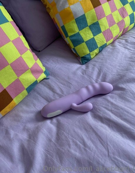 l alicebbgirl l heiße porno bilder