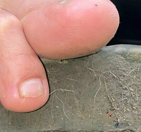 sommer trans onlyfans xxx erotische galerien