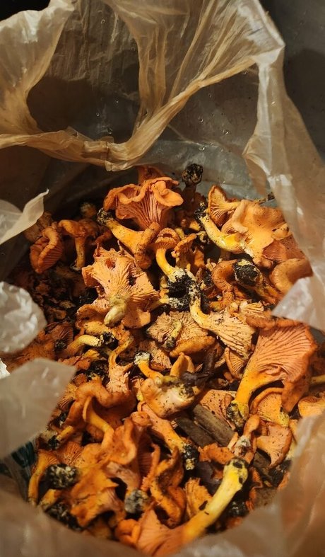 Lovebush1313 kostenlose nacktheit fotos