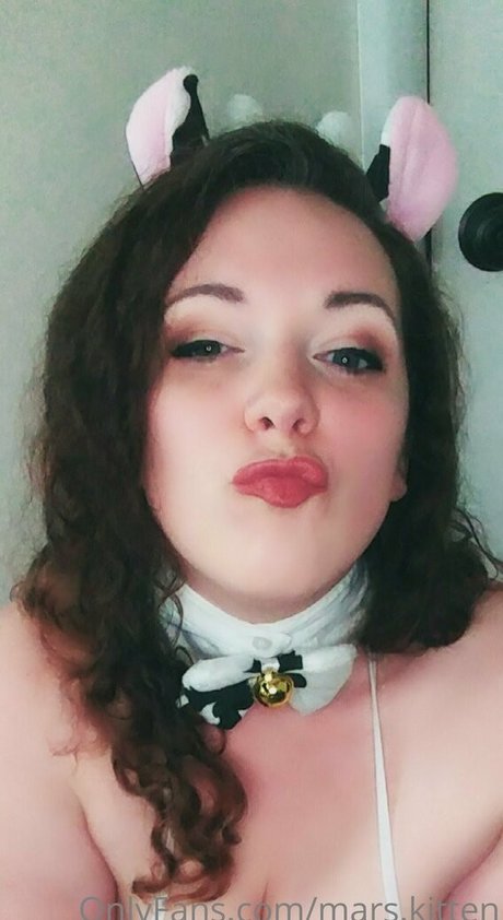 mars kitten hd kunst fotos