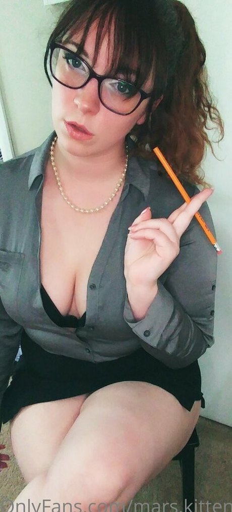 mars kitten hübsche nette fotos