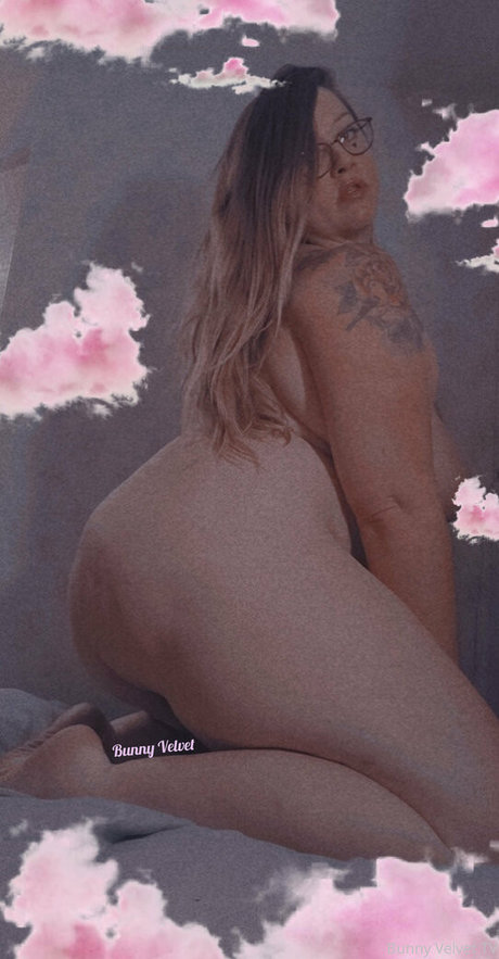 bunnyvelvettvfree beste freie foto