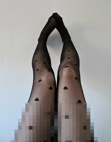 favlibrarian hd heiße archiv