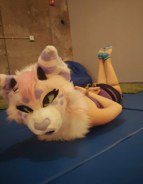 kinkypinkkitty pornostar perfekte bilder