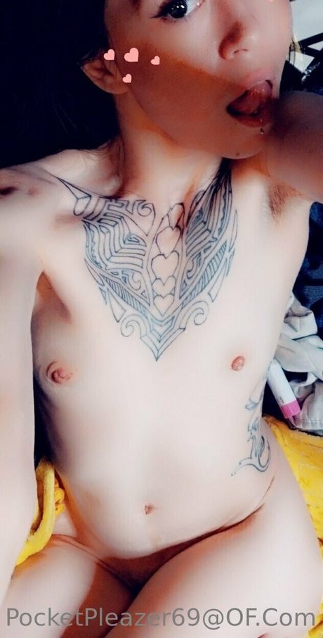 pocketpleazer freie sex galerie