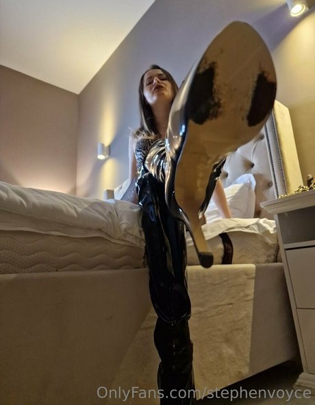 stephenvoyce xxx freie galerien