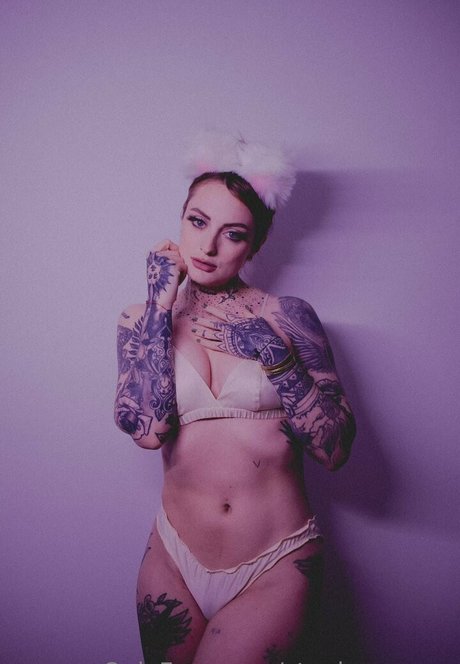 stephenvoyce schöne hd galerien