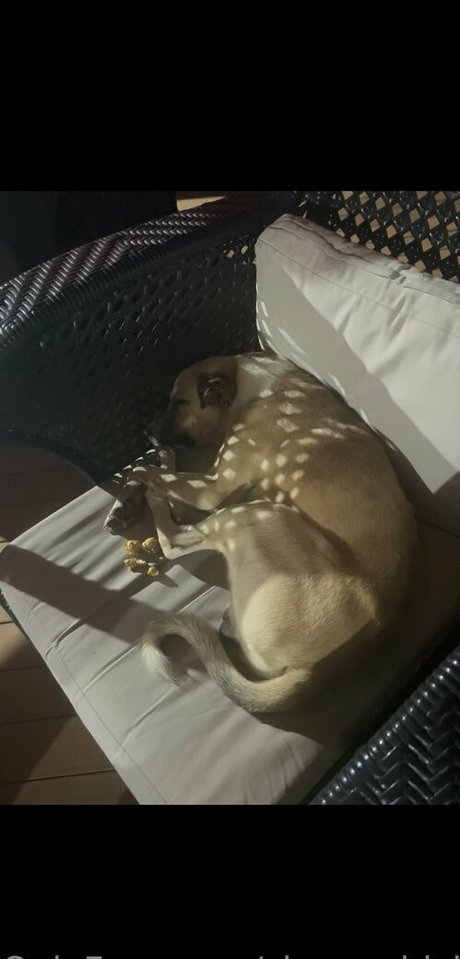 sleepychick11 sexy nacktheit archiv