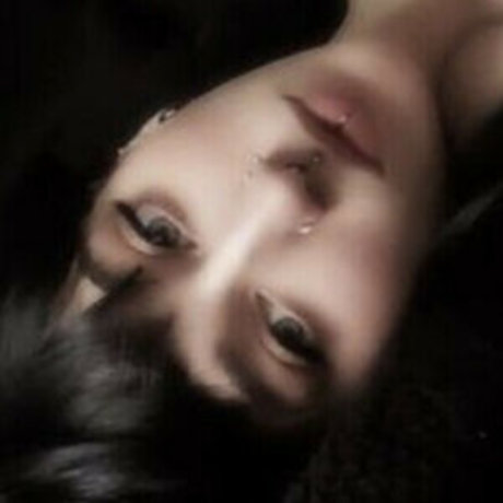 Pukekitty erwachsene schöne bild