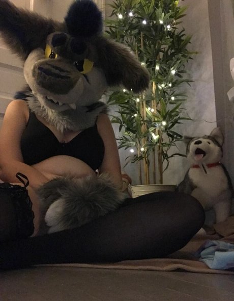 Donny Shark freie sex galerie