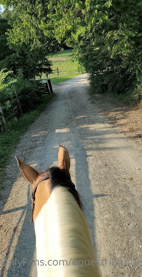 joi asiatische onlyfans akt galerien