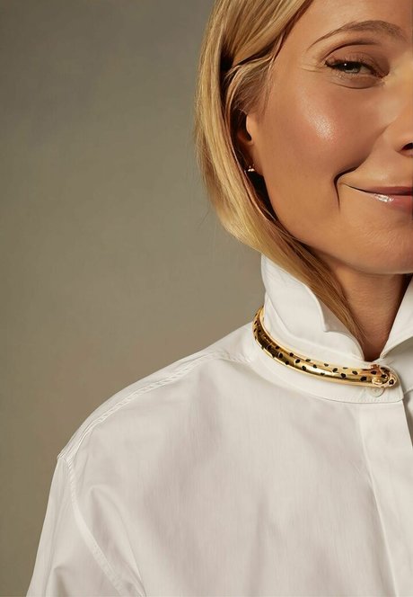 Gwyneth Paltrow hd top bild