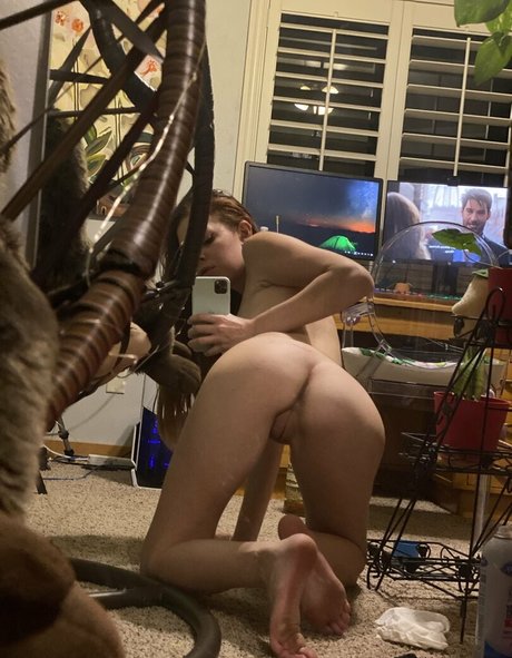 Chryspie freie hd bilder