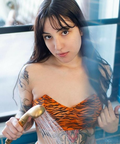 vaegasuicide freie schöne bild