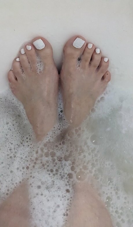 Little Finch top hd galerie