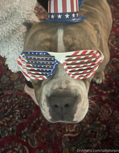 tallielorain exklusive erotische bild