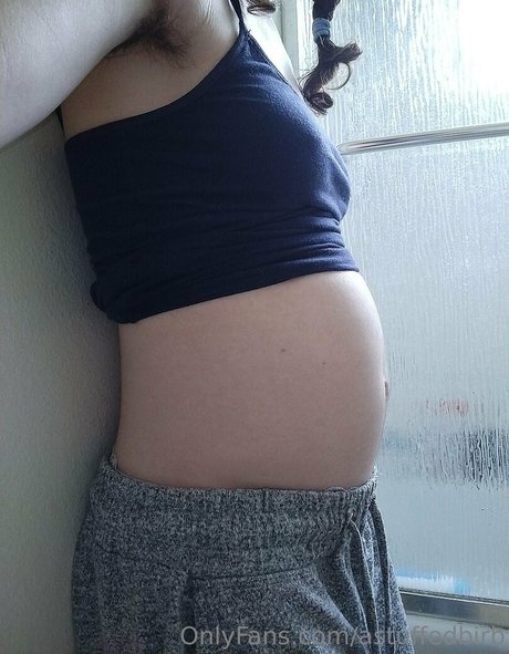 astuffedbirb kostenlose nacktheit archiv