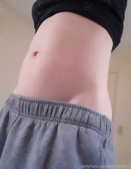 astuffedbirb sexy hübsche archiv