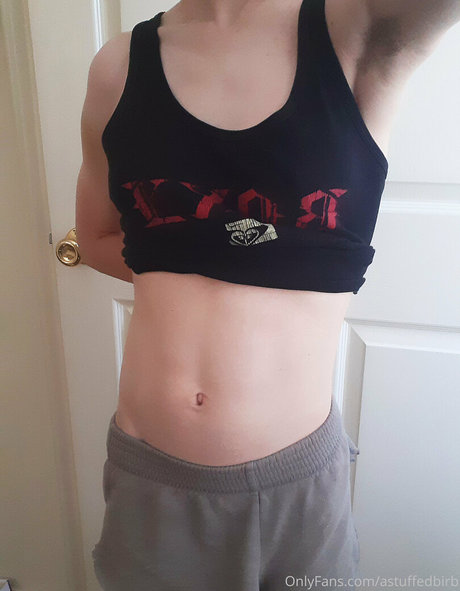 astuffedbirb heiße beste bilder