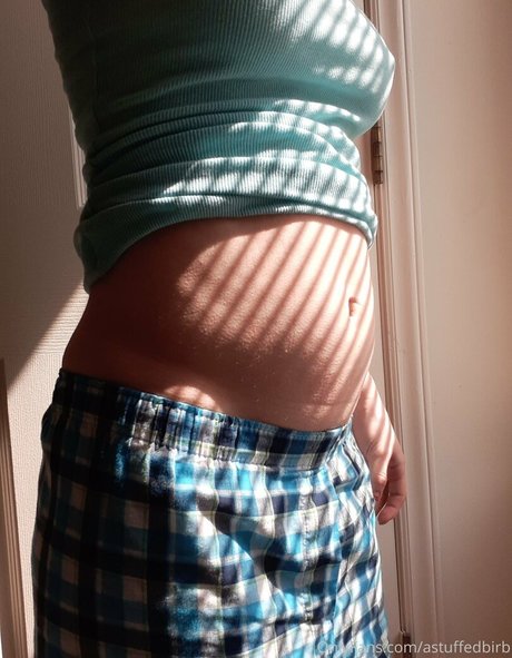 astuffedbirb porno kunst foto