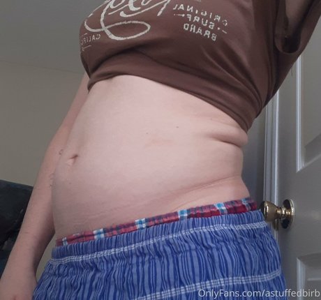 astuffedbirb model kunst galerien