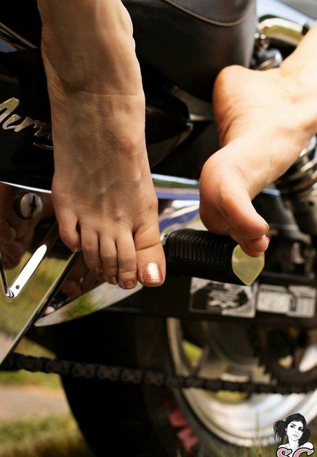 Ninha Suicide heiße archiv