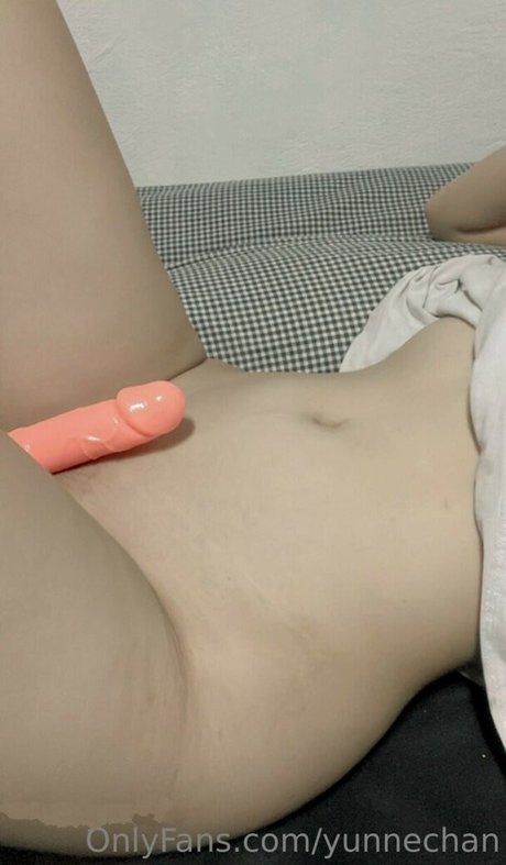 yunnechan Bilder