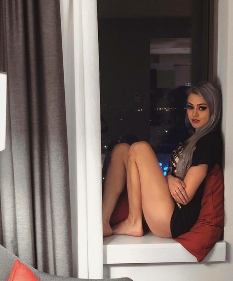 Farbenfuchs schöne hübsche foto