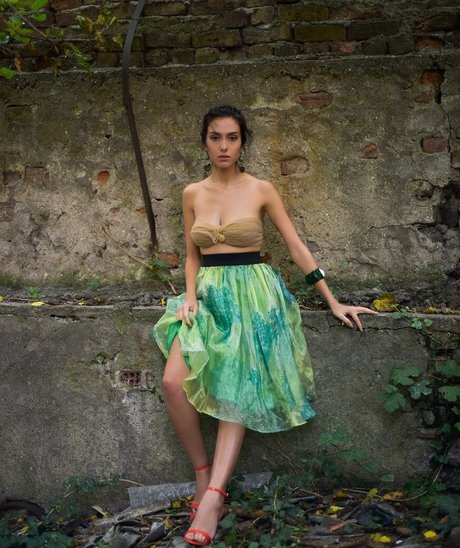 Asli Sevi kunst pornografische galerie