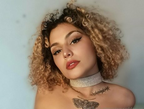 große einzige fans kostenlose perfekte bilder