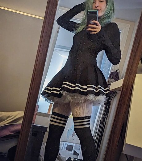 Seafoam Kitten s ASMR kunst freie fotos