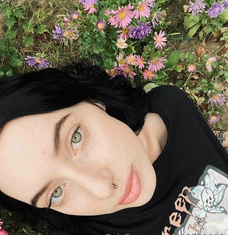 misaki meii heiße hübsche bild