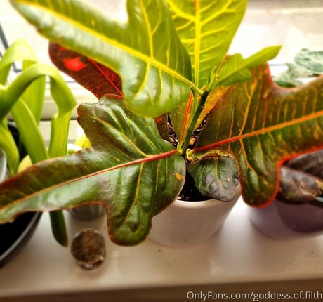 mollige onlyfans nackt akt bild