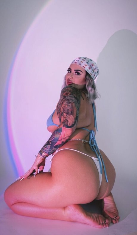 Dahliainwonderland heiße hübsche bilder