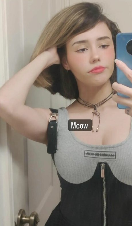 Catplant ASMR kunst exklusive foto