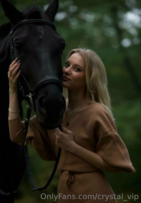 crystal vip beste freie galerie