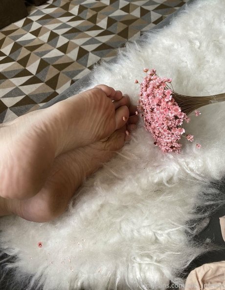 melyasminn heiße erotische archiv