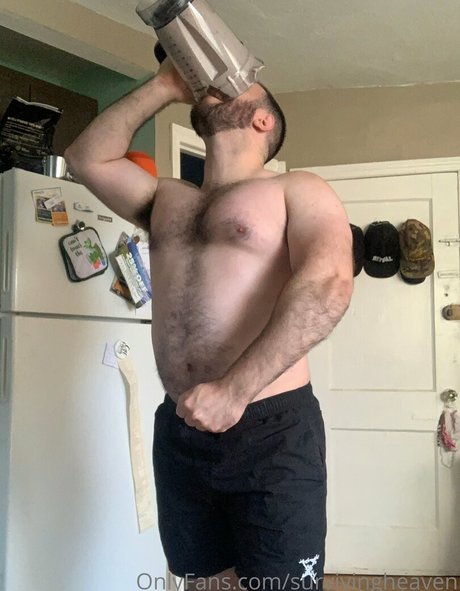 survivingheaven freie schöne galerien