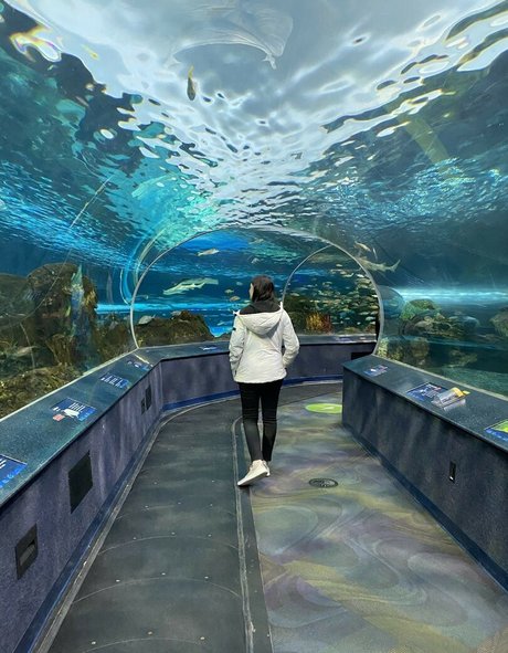 Wolfabelle xxx akt bild