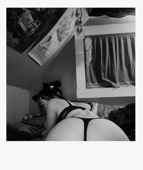 kayl3yz top perfekte archiv