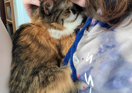 snoot pornostar bild