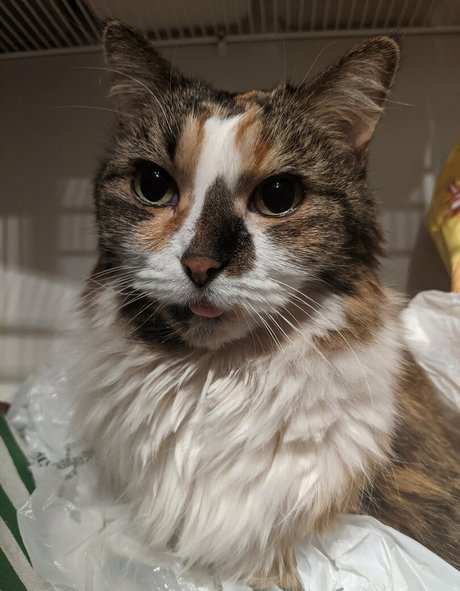 snoot freie nacktheit galerien